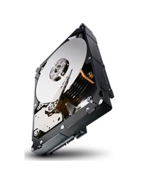 Seagate-ST1000NM0011-RFB