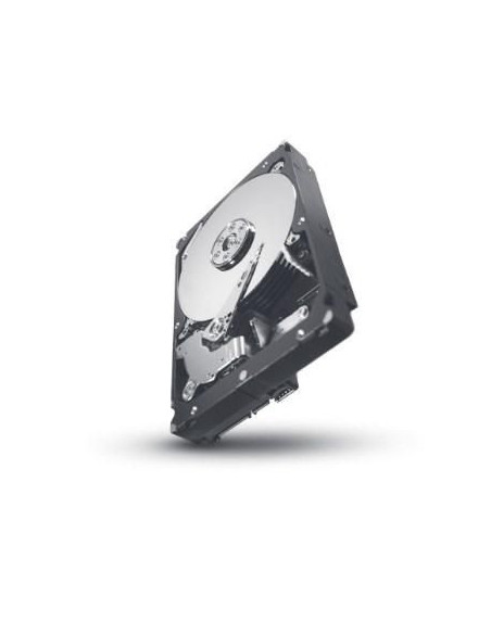 Seagate-ST31000424SS-RFB