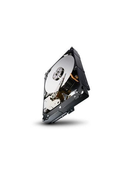 Seagate-ST32000645SS-RFB