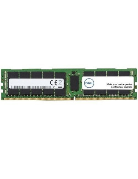 Dell-SNPW403YC/64G