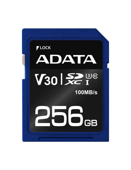 ADATA-ASDX256GUI3V30S-R