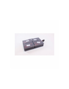 EB004SP - Kit de batteries de remplacement Eaton Battery+ produit D pour onduleur