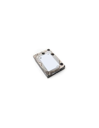 Disque dur 1 To SATA 3.5" 7,2K Dell 400-AFYB-RFB - Reconditionné