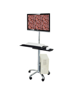 17.99.1174 – Station de travail mobile assis-debout VALUE 17.99.1174 – Coloris Silver